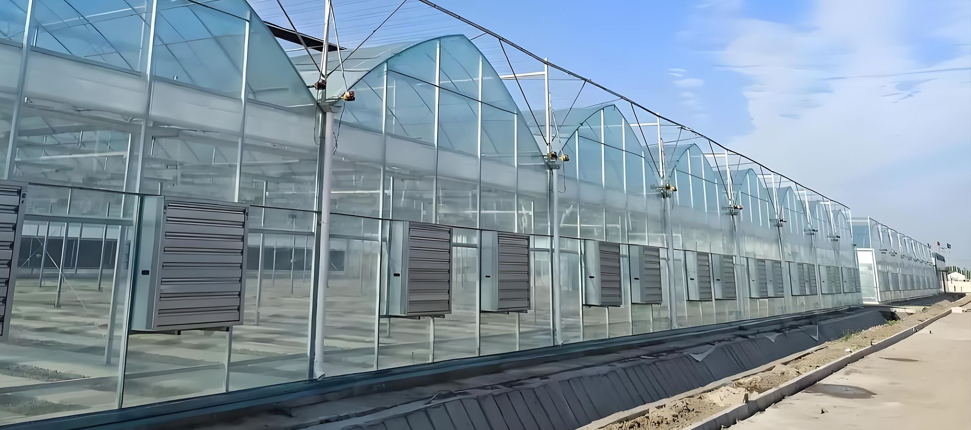 INTERNATIONAL EXPERIENCE