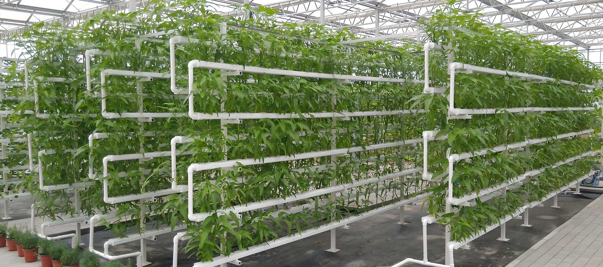 GLOBAL INDUSTRY SUPPLIERS