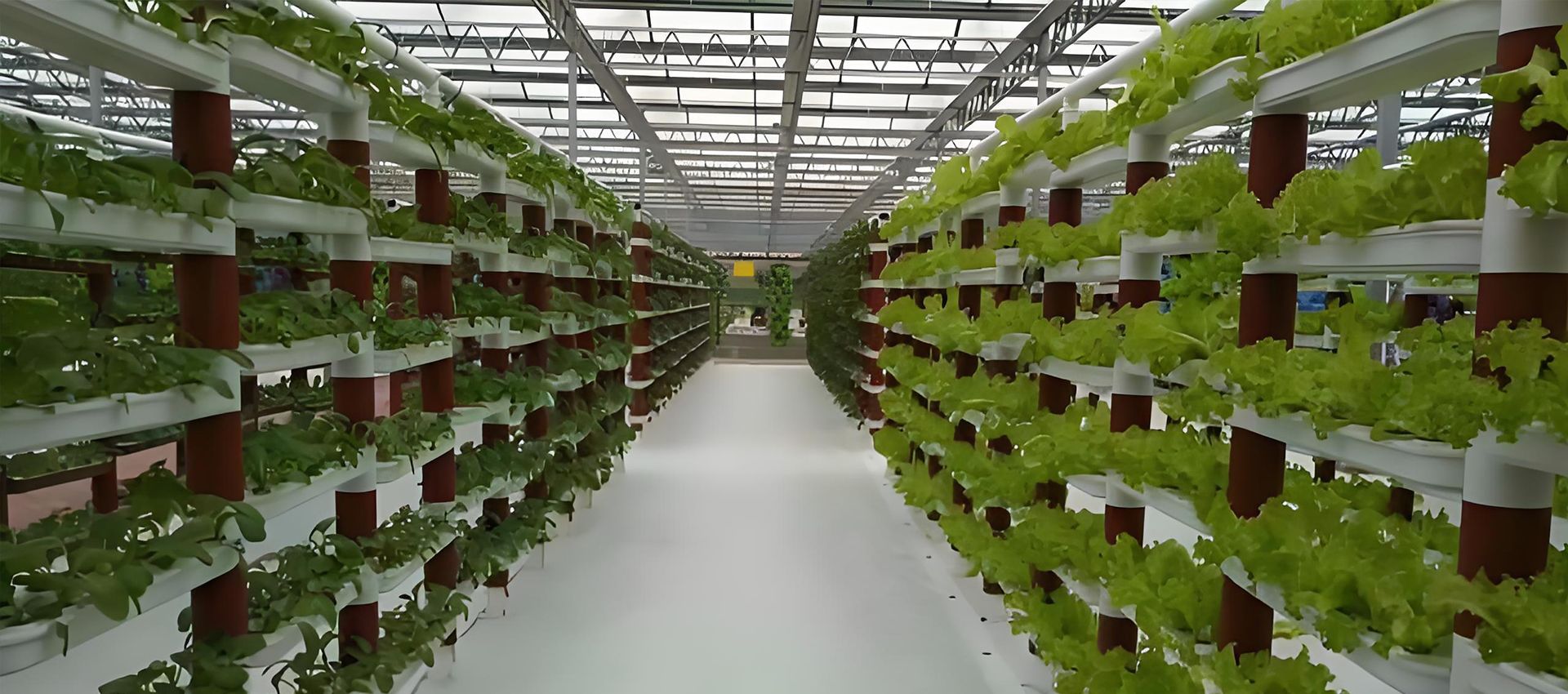 GLOBAL INDUSTRY SUPPLIERS