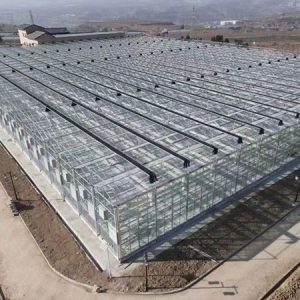 Leading Consumer Products Showcase