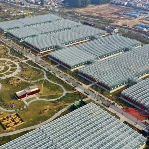 Leading Consumer Products Showcase