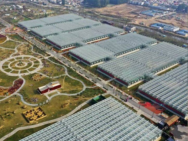 Cooling of glass greenhouse