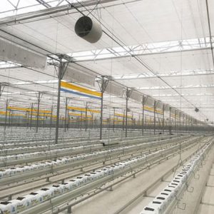 Gothic style connected greenhouse