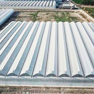 Leading Consumer Products Showcase