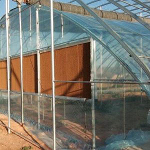 Leading Consumer Products Showcase