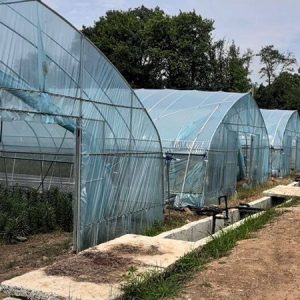 Leading Consumer Products Showcase