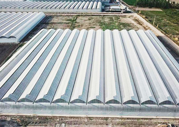 Materials covered in the construction of solar greenhouses