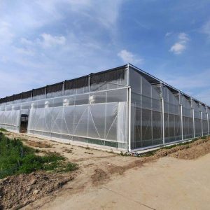 Leading Consumer Products Showcase