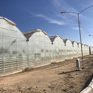 Leading Consumer Products Showcase