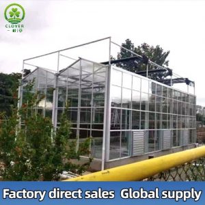 Family-style glass greenhouse