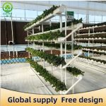 Hydroponic cultivation mode