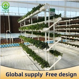 Hydroponic cultivation mode