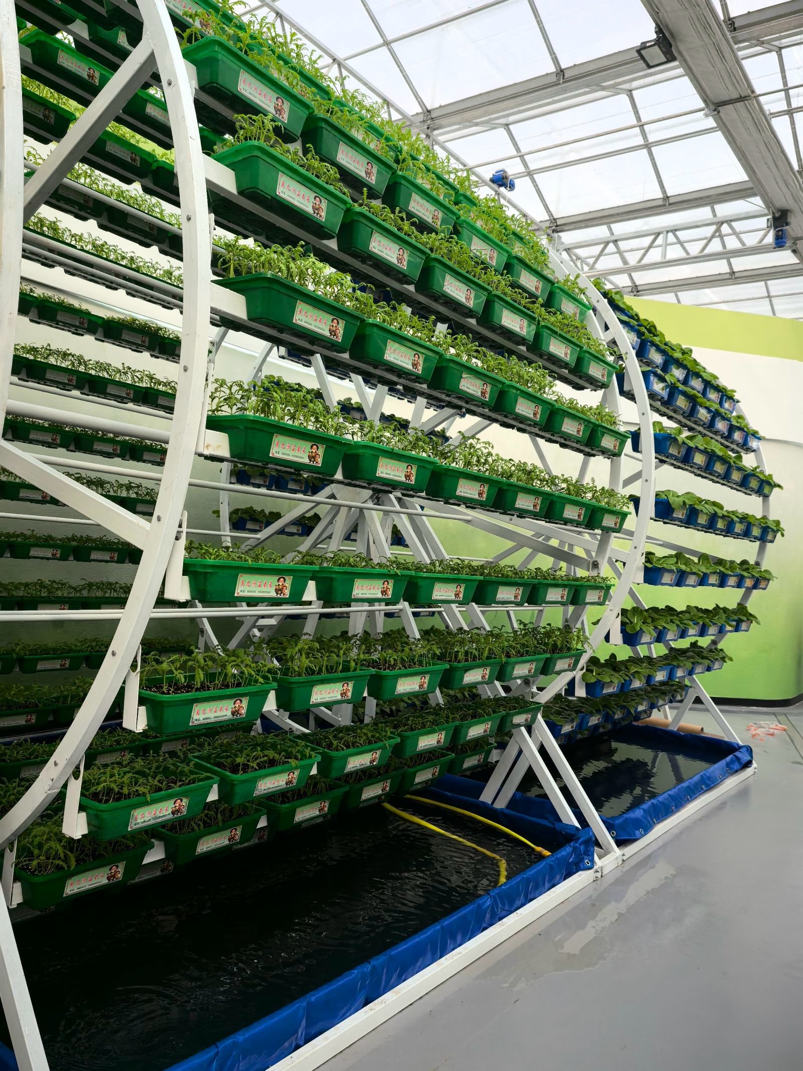 Hydroponic facilities