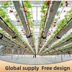 Strawberry planting rack