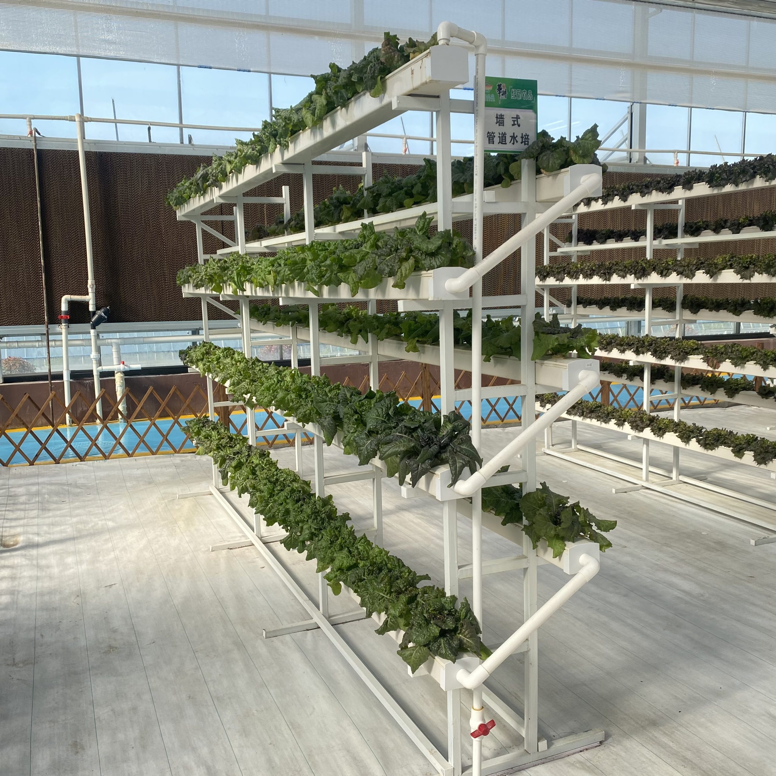 Hydroponic cultivation mode