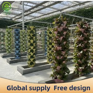 Hydroponic cultivation mode