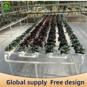 Pipeline hydroponic cultivation