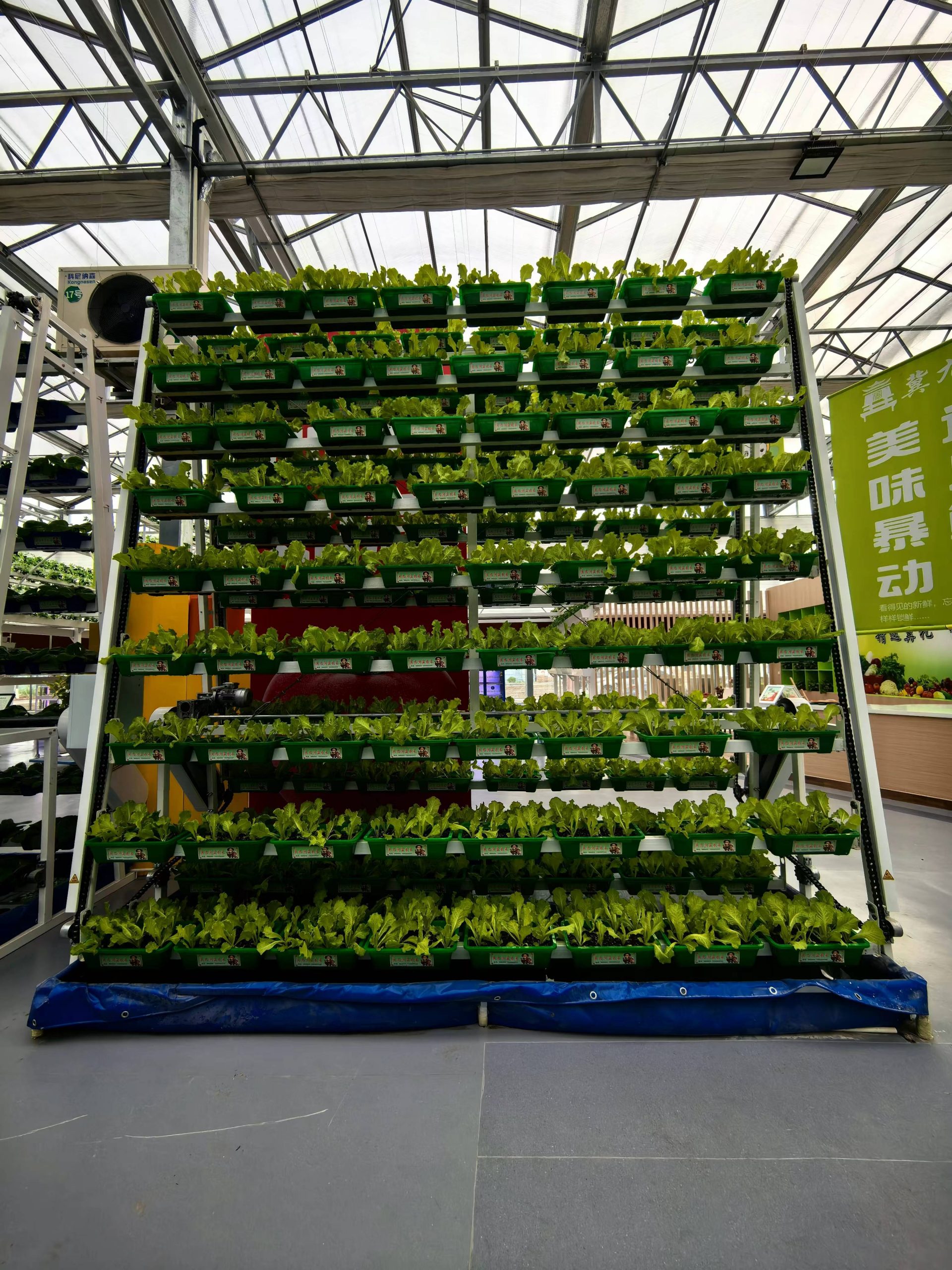 Hydroponic cultivation facilities