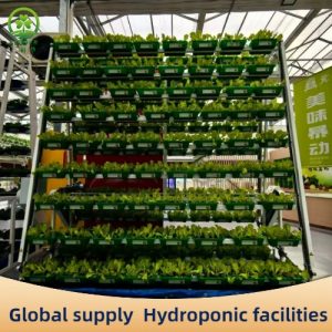 Hydroponic cultivation facilities