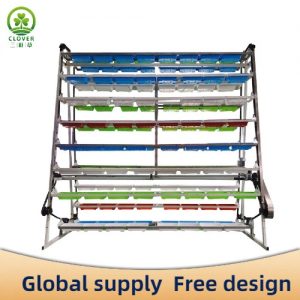 Hydroponic cultivation facilities
