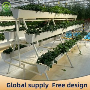 Type A planting rack mode