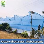 Film-covered multi-span greenhouse