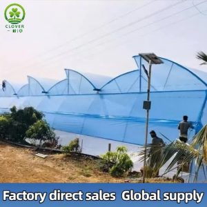 Film-covered multi-span greenhouse