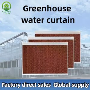Greenhouse water curtain